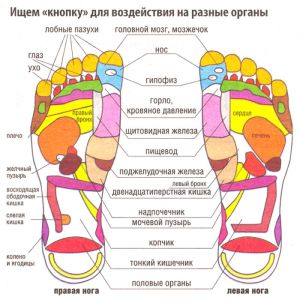 reflektornye-massazhnye-tapochki-bradex-sila-jogi-3