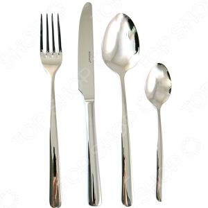 nabor-stolovyh-priborov-4-predmeta-delimano-astoria-cutlery-3